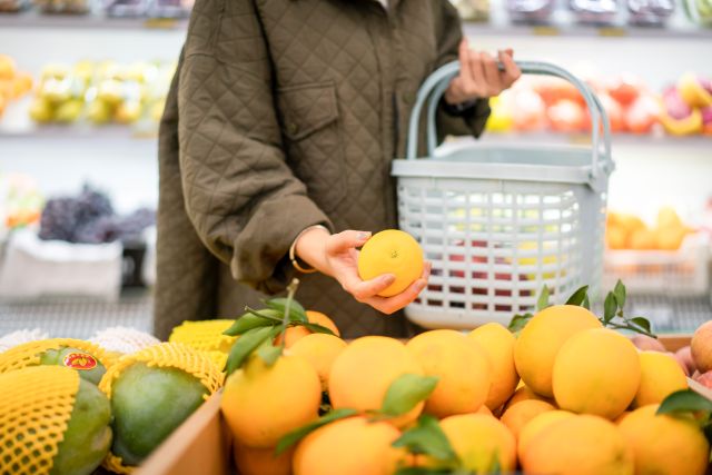 食品安全マネジメントシステム 内部監査員技術養成コース