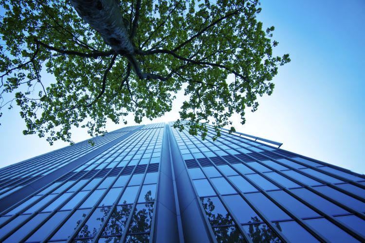 サステナビリティファイナンス