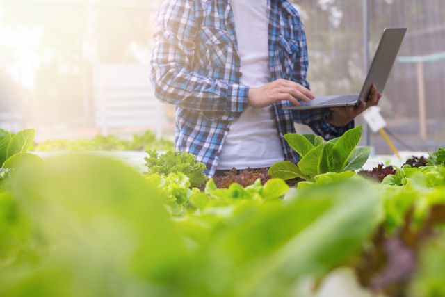 食品安全マネジメントシステム 是正処置トレーニングコース | DNV