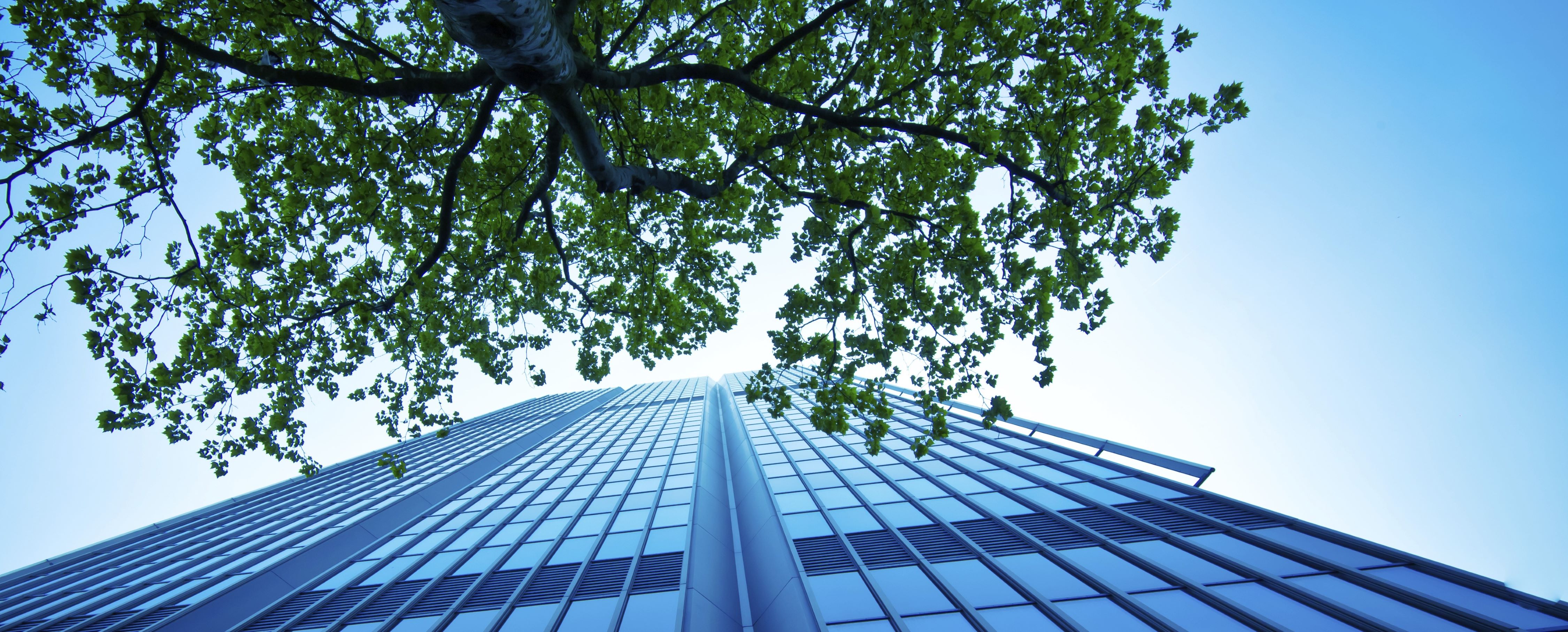 サステナビリティファイナンス