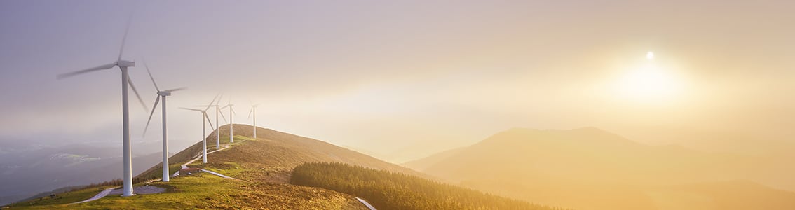 Portfolio manager supply and operational monitoring services