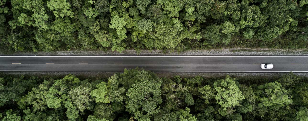 ISO 14001:2026 国際規格原案(ISO/DIS 14001)に基づく移行に関するトレーニング