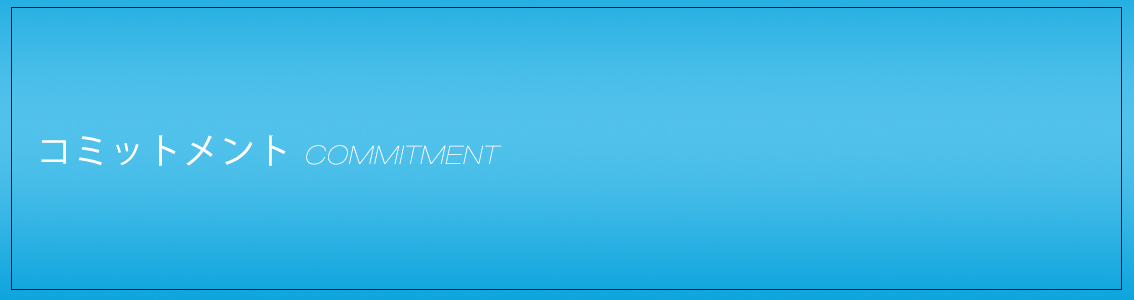 COMMITMENT