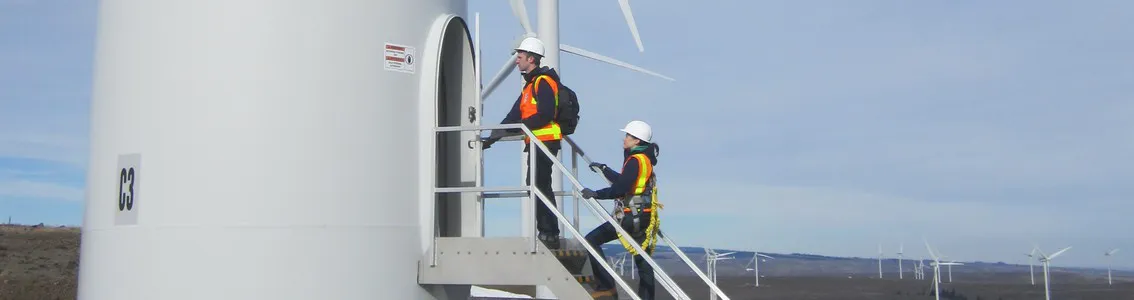 Continued operation of wind turbines