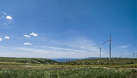 配電網の信頼性とパフォーマンス