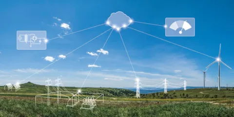 Electric grid ecosystem