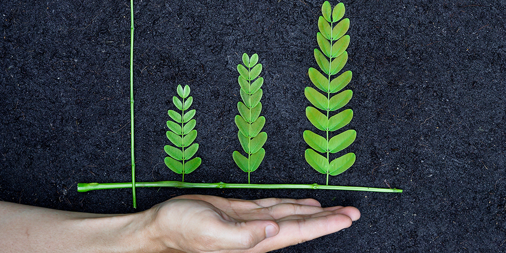 サステナブル経営支援