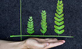 サステナブル経営支援