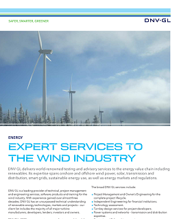 Expert services to the wind industry