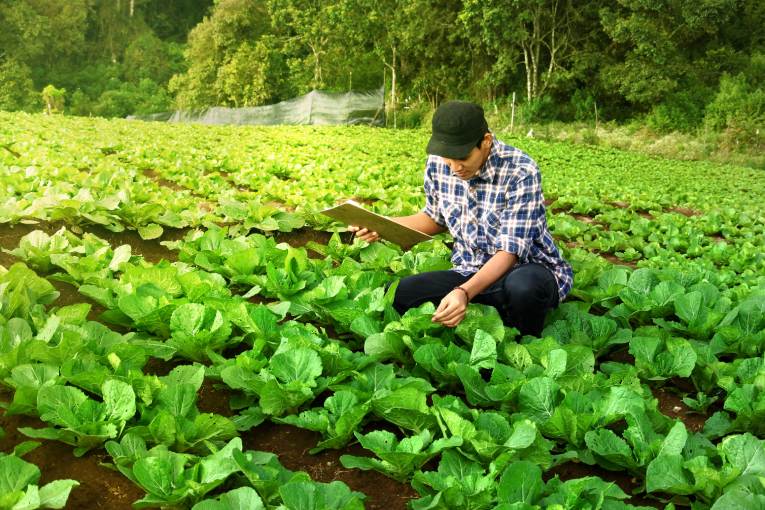 Farm to Fork Strategy_765x