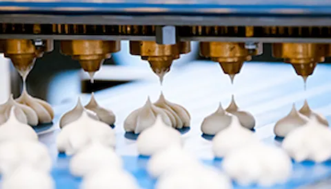 FSSC 22000: Food Safety Certification