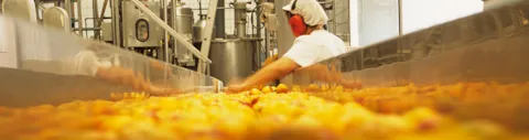 HACCP
