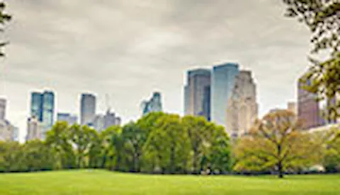 ISO 14001認証:環境マネジメント