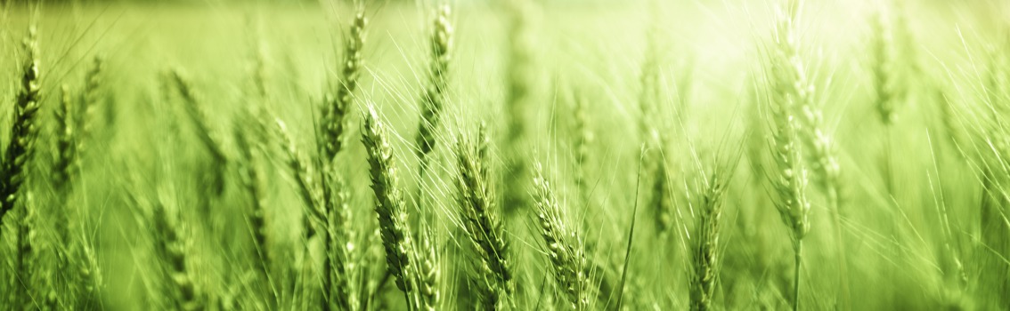 transitiontoiso22000