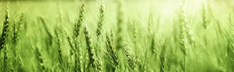 transitiontoiso22000