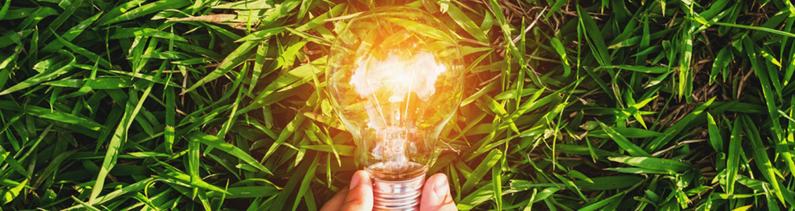 脱炭素社会への移行支援