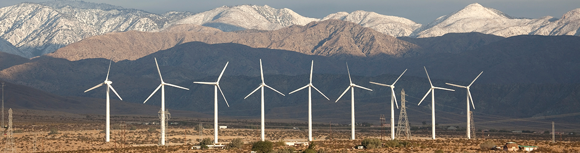 Warranty and verification testing