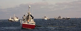 MSC Fisheries Standard