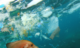 Operation Clean Sweep (OCS) - plastic pellet loss management system