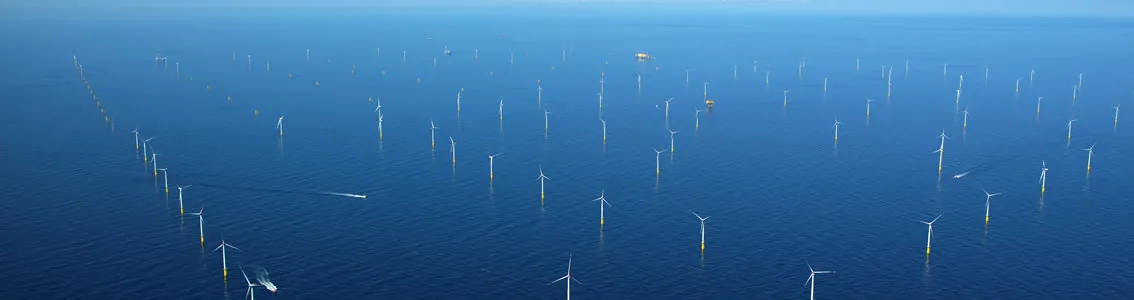 offshore wind farm “Meerwind”