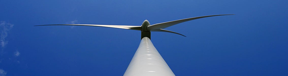 Wind turbine appraisal