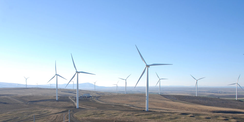 Wind resource assessment software for wind farm development - WindFarmer: Analyst