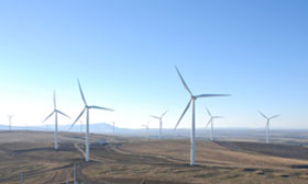 風力資源評価ソフトウェア - WindFarmer: Analyst