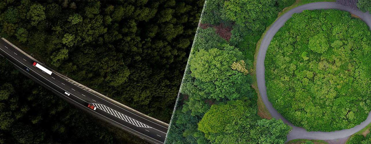 自動車機能安全/サイバーセキュリティ / サステナビリティ