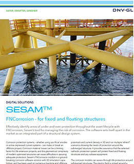 FNCorrosion フライヤー