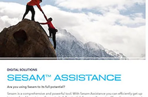 Sesam Assistance フライヤー