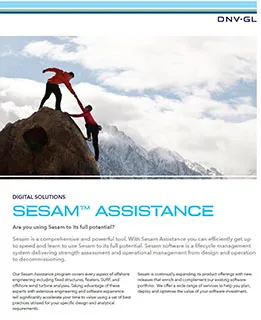Sesam Assistance フライヤー