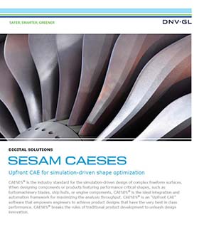 CAESES フライヤー