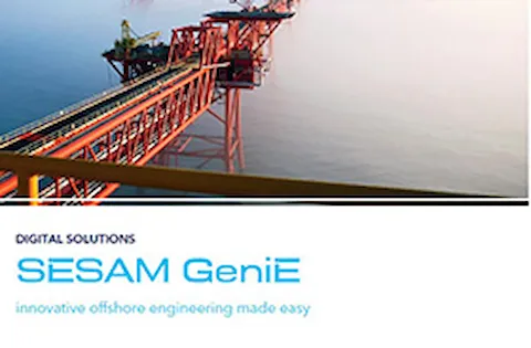 Sesam for fixed structures カタログ