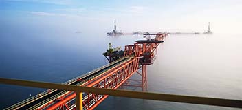 Sesam for fixed structures モジュール