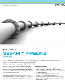 SimBuck フライヤー