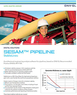 StableLines フライヤー