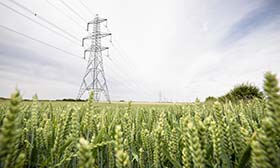 Synergi Electric - Customer Management