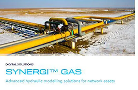 Synergi Gas brochure