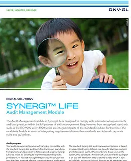 Synergi Life Audit Management フライヤー