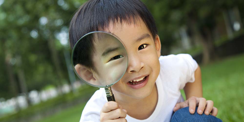 Audit program - Audit software - Synergi Life - Audit management