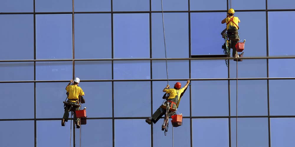 Risk management software - Synerg Life