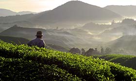 サードパーティのリスク管理ソフトウェア - Synergi Life