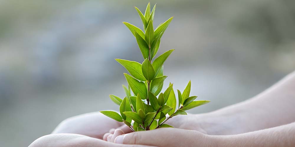 QHSE and risk management software – Synergi Life