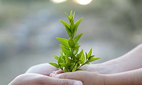 Synergi Life モジュール