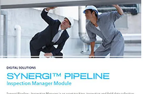 Inspection Manager フライヤー