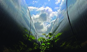 パイプライン整合性管理ソフトウェア - Synergi Pipeline