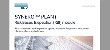 Synergi Plant - RBI フライヤー