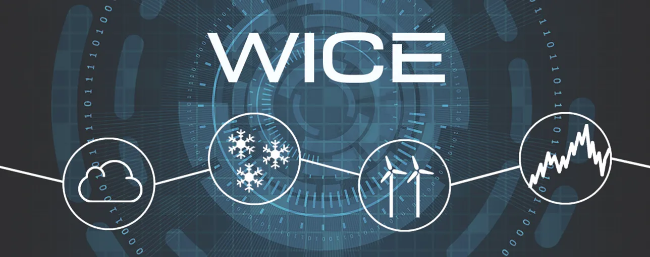 WICE icing loss assessment