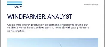 WindFarmer: Analyst flyer